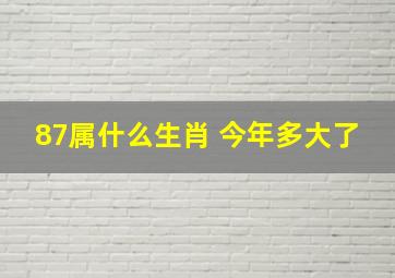 87属什么生肖 今年多大了